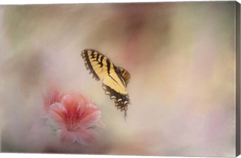 Framed Whisper Of Yellow Print