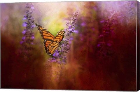 Framed Autumn Monarch Print