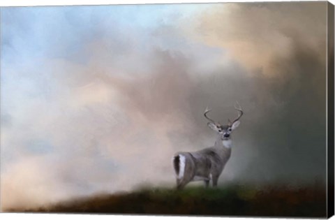 Framed Buck On The Hill Print