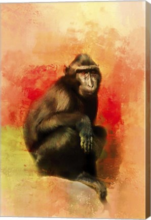 Framed Colorful Expressions Black Monkey Print