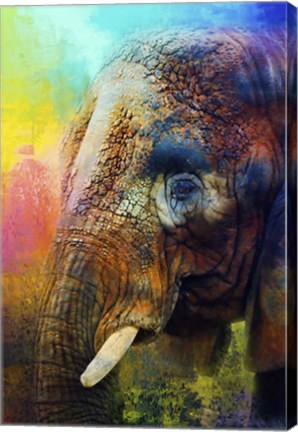 Framed Colorful Expressions Elephant Print
