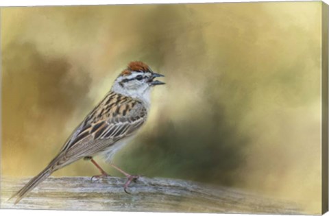 Framed Final Summer Song Print