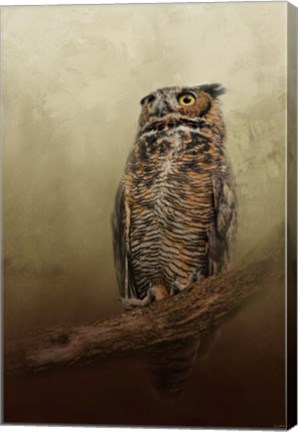 Framed Great Horned Owl At Shiloh Print