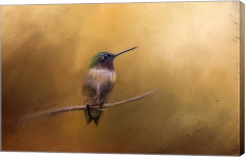 Framed Hummingbird in Autumn Print