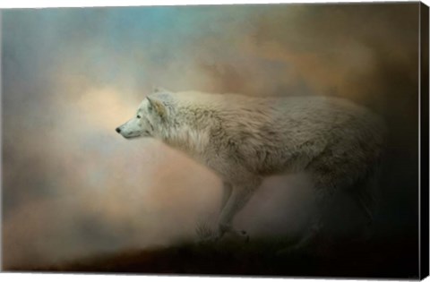 Framed Journey Of The Timber Wolf Print