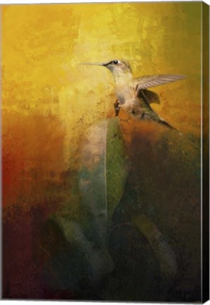 Framed Sunlit Landing Print