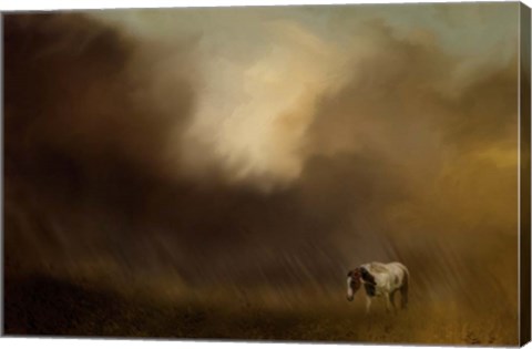 Framed Traveling Through The Storm Print