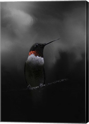 Framed Waiting In The Darkness Print