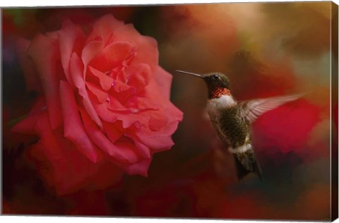 Framed After The Big Rose Print