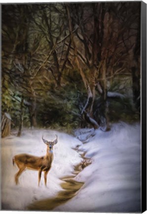 Framed Buck At Snowy Creek Print