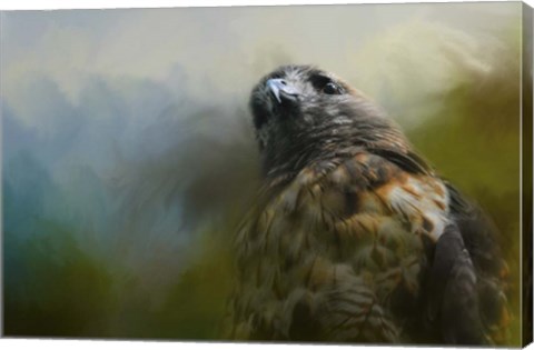 Framed First Morning Light Print