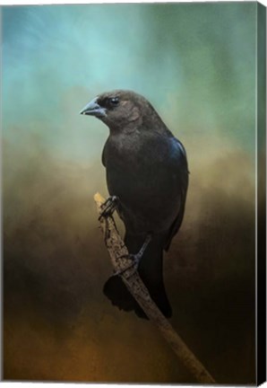 Framed Lazy Bird Print