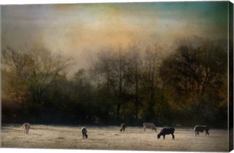Framed Peaceful Tennessee Morning Print