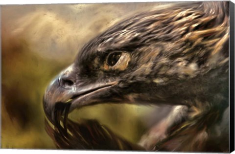 Framed Preening Print