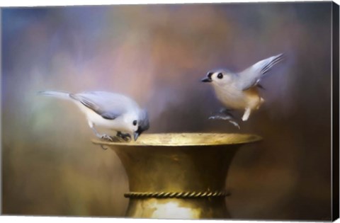 Framed Afternoon Playtime Print