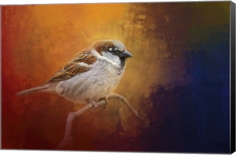 Framed Autumn Sparrow Print