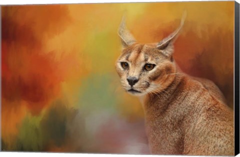 Framed Caracal In Autumn Print