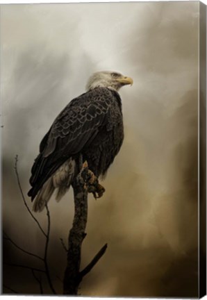 Framed Cold Day In March Print