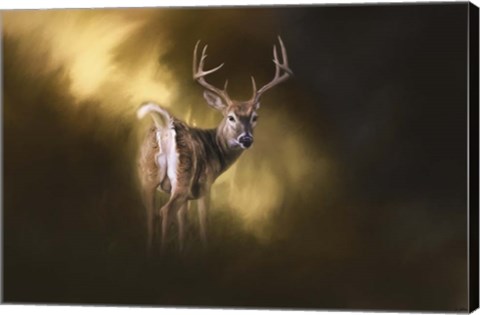 Framed Nine Pointer Print