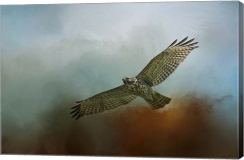 Framed Red Shoulder In Autumn Print