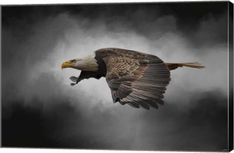 Framed Stormy Sky Flight Print