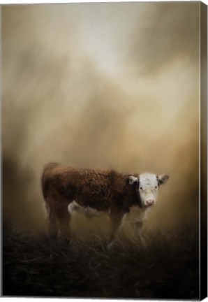 Framed Lone Calf Print