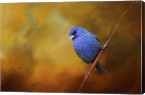 Framed Blue Bunting In Autumn Print