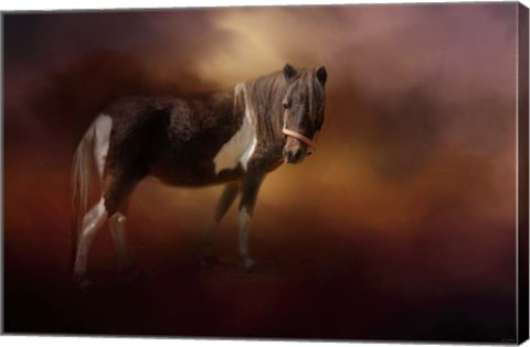 Framed Chickasaw Pony In Autumn Print