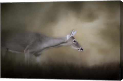 Framed Hesitation Print