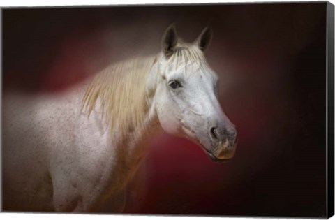 Framed I Am The Light Print