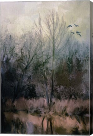 Framed Morning At Fairground Swamp Print
