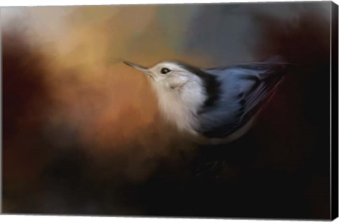Framed Nuthatch In Autumn Print