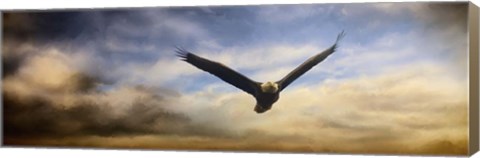 Framed Sunset Flight Print