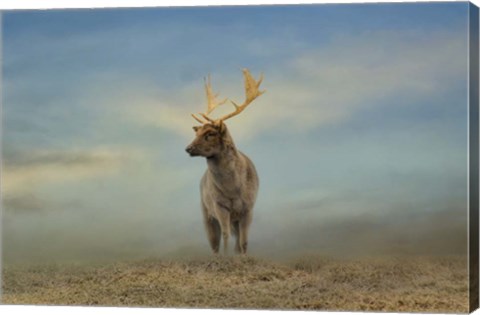 Framed Taking  In The View Print