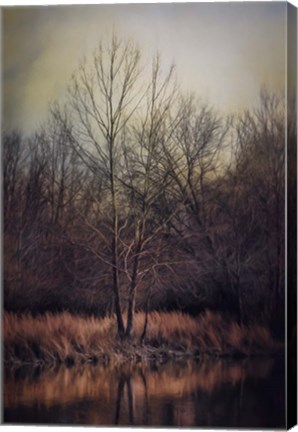 Framed Warm Winter Peace Print