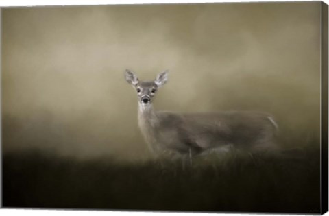 Framed Young and Alert Print