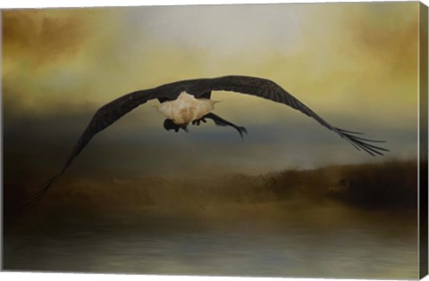 Framed Big Catch 2 Print