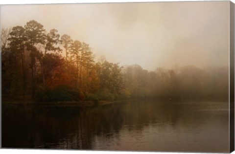 Framed Foggy Morning At Lake LaJoie Print
