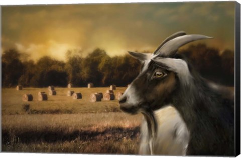 Framed Hay Buffet Print