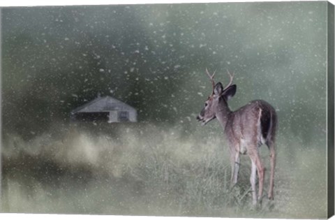 Framed Heading Home In The First Snow Print