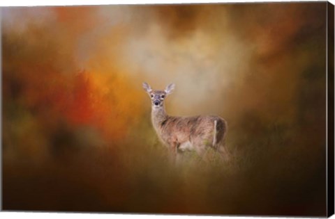 Framed Illuminated By The Autumn Light Print