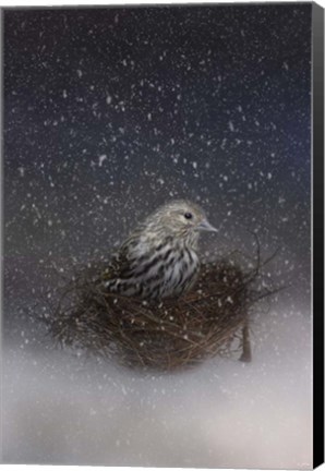 Framed Keeping Warm In My Nest Print