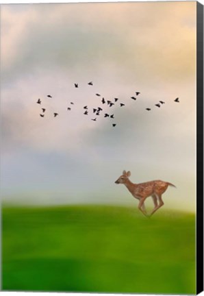 Framed Racing Wings Print