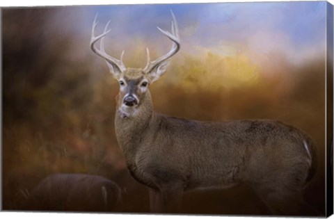 Framed Let The Season Begin Print