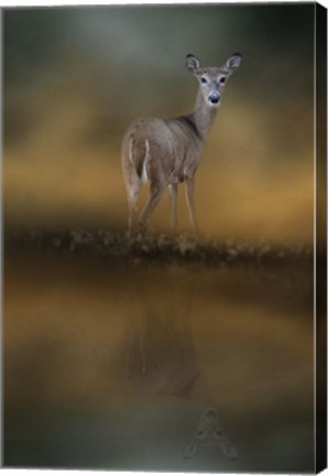 Framed Sunrise At The Pond Print