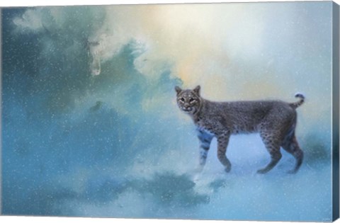 Framed Winter Bobcat Print
