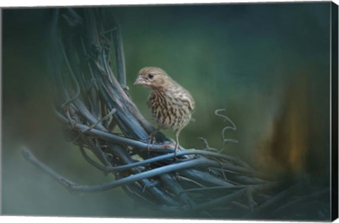 Framed Little Brown Bird On A Little Blue Wreath Print