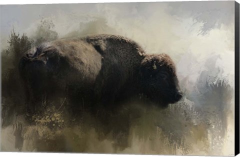 Framed Abstract American Bison Print