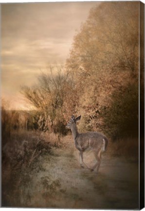 Framed Edge Of The Forest Print