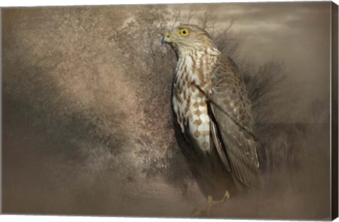 Framed Patiently Waiting Print